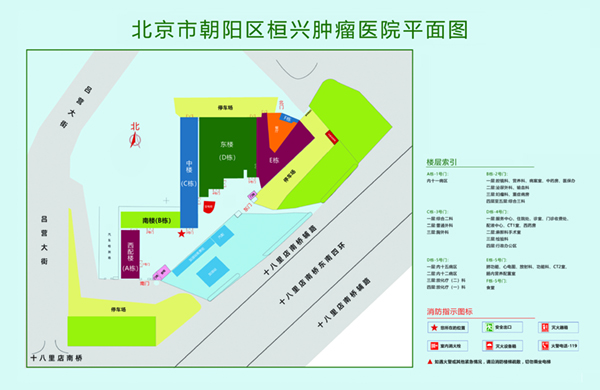 高清无码大逼逼北京市朝阳区桓兴肿瘤医院平面图